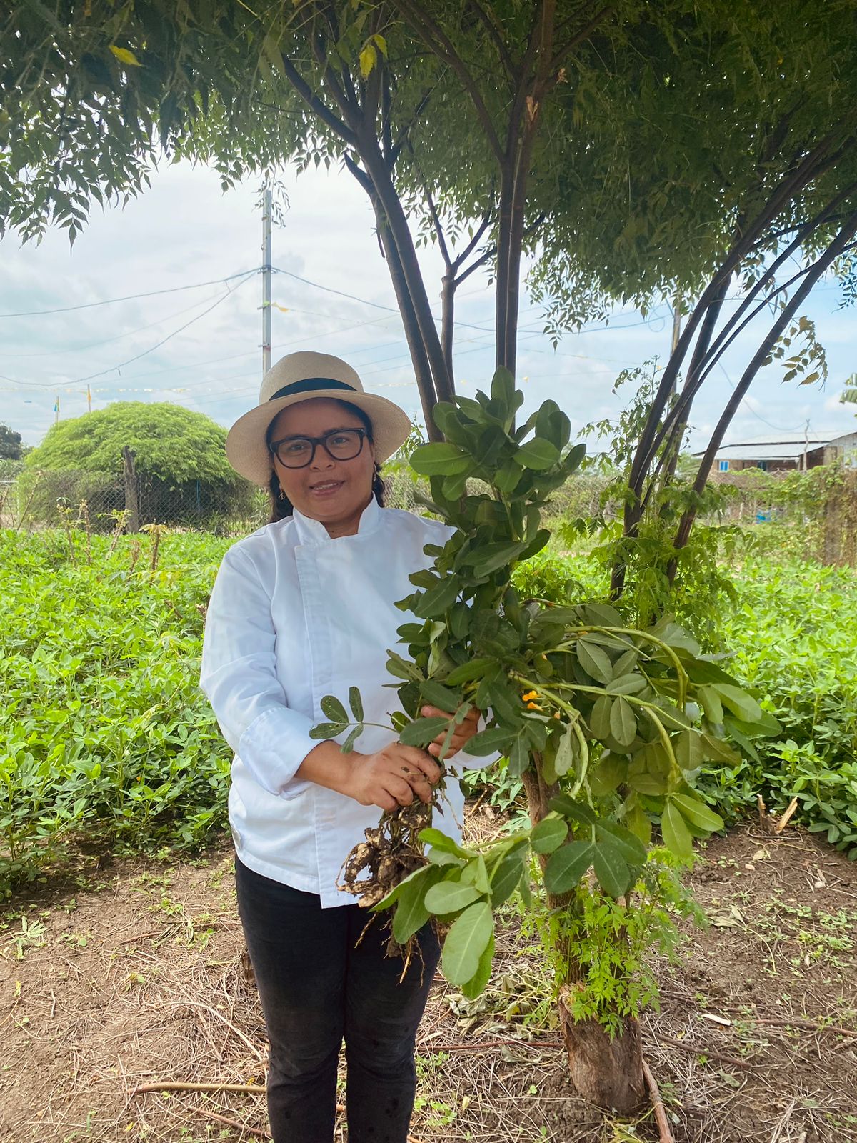 Conoce Manab AMCHAM Manab 